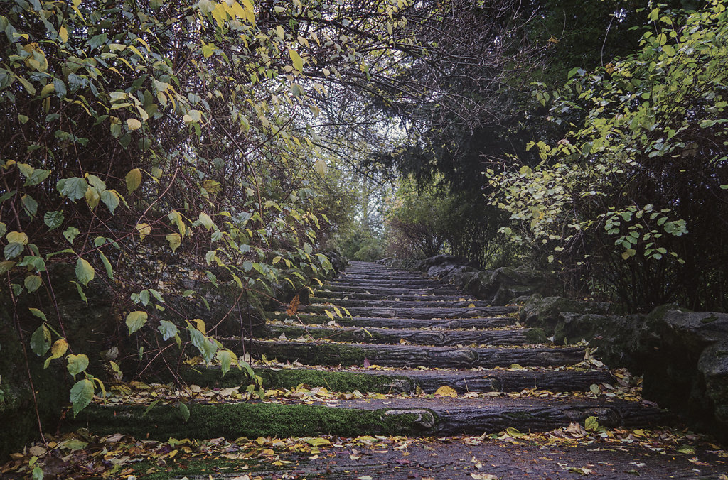 Les escaliers des Buttes Chaumont